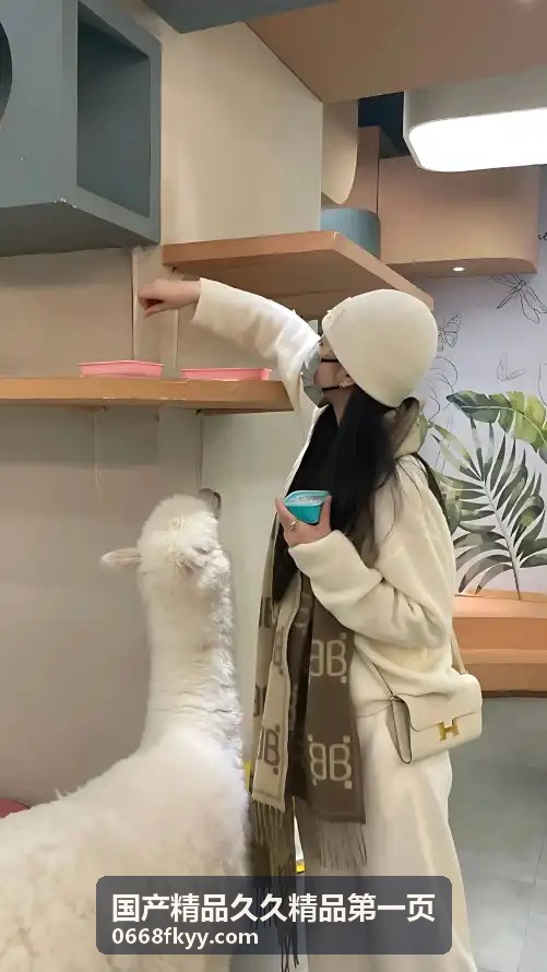 国产精品第一页推荐